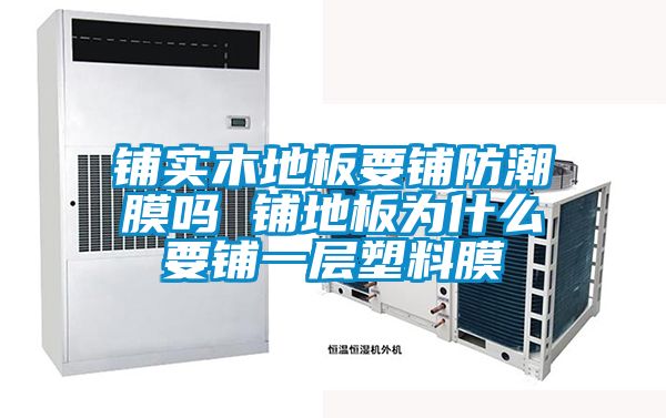 欧美成色手机在线观看 铺实木地板要铺防潮膜吗 铺地板为什么要铺一层塑料膜