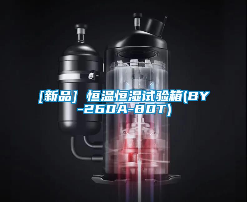 欧美黄色性爱视频网站 [新品] 恒温恒湿试验箱(BY-260A-80T)