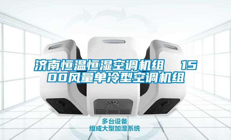 欧美成色手机在线观看 济南恒温恒湿空调机组  1500风量单冷型空调机组