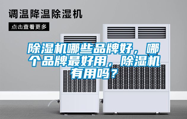 欧美黄色性爱视频网站 除湿机哪些品牌好，哪个品牌最好用，除湿机有用吗？