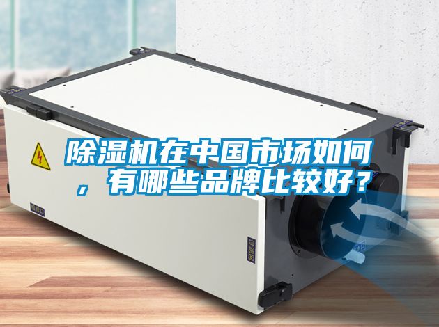 欧美成色手机在线观看 除湿机在中国市场如何，有哪些品牌比较好？