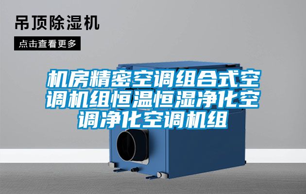 欧美成色手机在线观看 机房精密空调组合式空调机组恒温恒湿净化空调净化空调机组