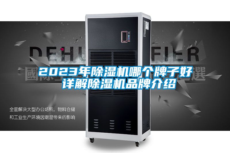 欧美黄色性爱视频网站 2023年除湿机哪个牌子好 详解除湿机品牌介绍