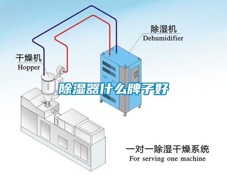 欧美成色手机在线观看 除湿器什么牌子好