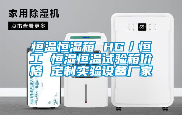 欧美黄色电影在线播放 恒温恒湿箱 HG／恒工 恒湿恒温试验箱价格 定制实验设备厂家