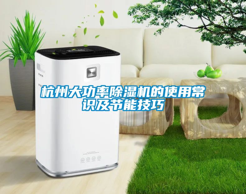 欧美成色手机在线观看 杭州大功率除湿机的使用常识及节能技巧