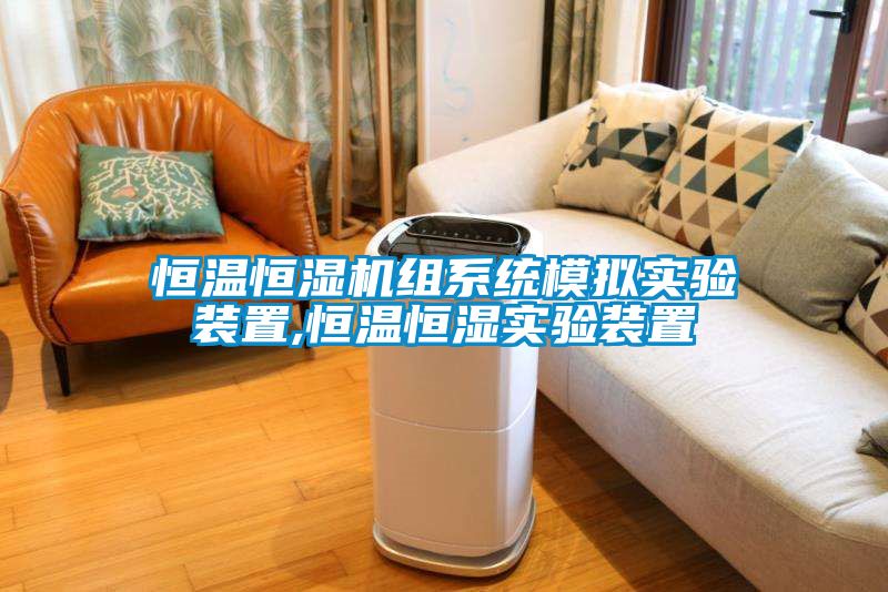 欧美黄色性爱视频网站 恒温恒湿机组系统模拟实验装置,恒温恒湿实验装置