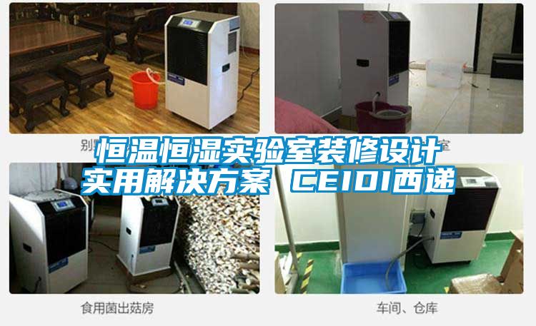 欧美成色手机在线观看 恒温恒湿实验室装修设计实用解决方案 CEIDI西递