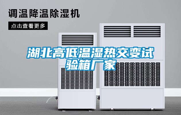欧美黄色电影在线播放 湖北高低温湿热交变试验箱厂家