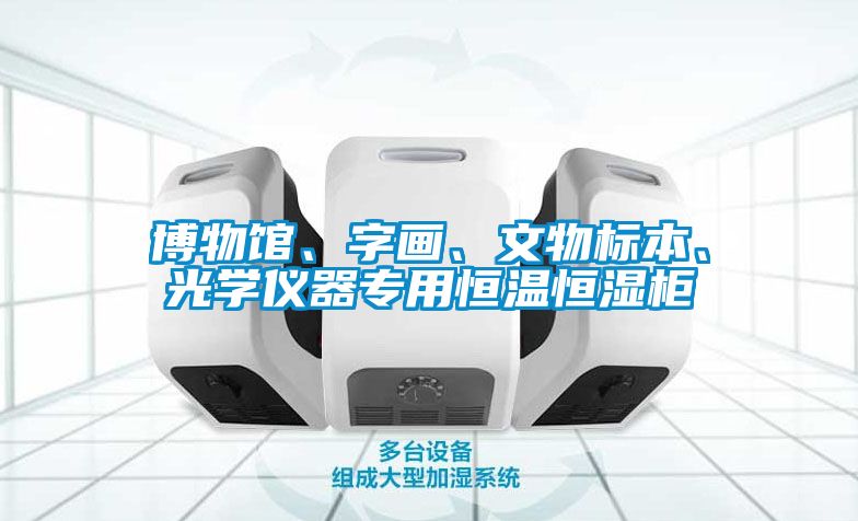 欧美黄色电影在线播放 博物馆、字画、文物标本、光学仪器专用恒温恒湿柜