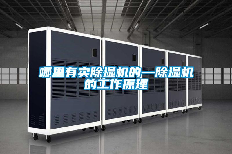 欧美黄色电影在线播放 哪里有卖除湿机的—除湿机的工作原理
