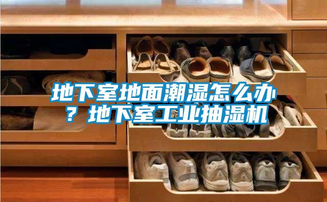 欧美成色手机在线观看 地下室地面潮湿怎么办？地下室工业抽湿机