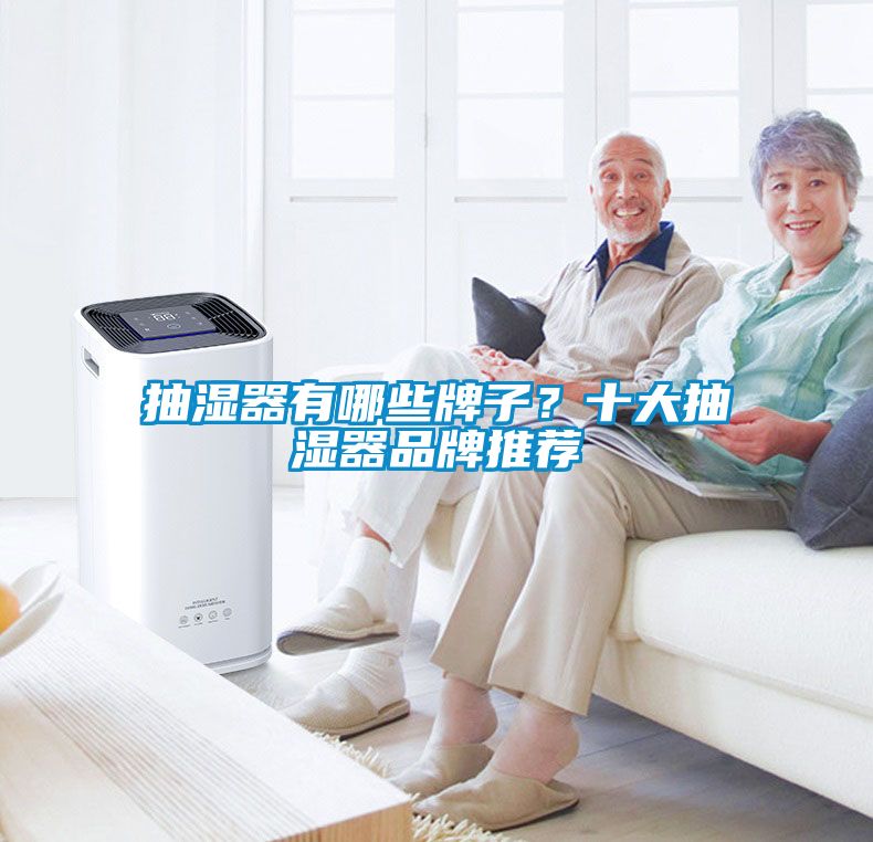 欧美成色手机在线观看 抽湿器有哪些牌子？十大抽湿器品牌推荐