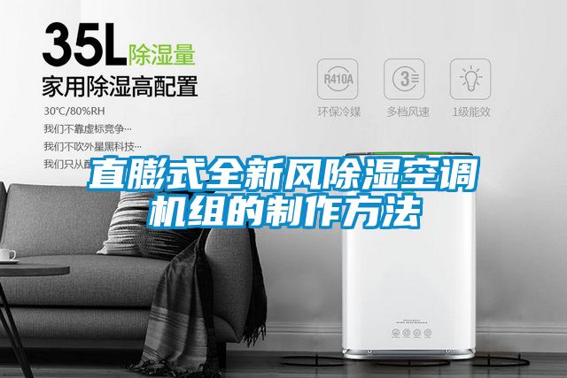 欧美黄色电影在线播放 直膨式全新风除湿空调机组的制作方法