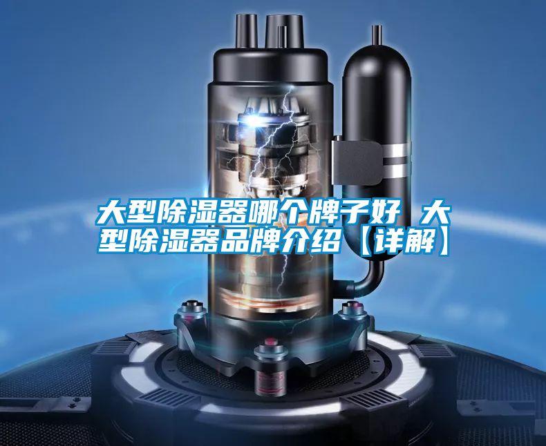 欧美成色手机在线观看 大型除湿器哪个牌子好 大型除湿器品牌介绍【详解】