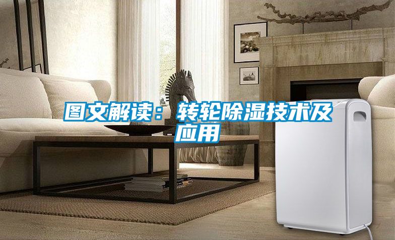 欧美黄色性爱视频网站 图文解读：转轮除湿技术及应用