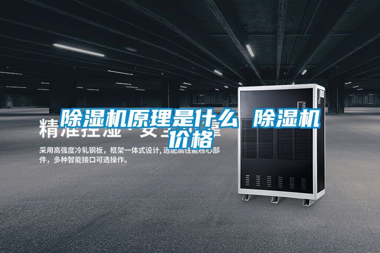 欧美黄色电影在线播放 除湿机原理是什么 除湿机价格