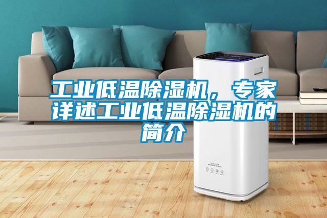 欧美黄色电影在线播放 工业低温除湿机，专家详述工业低温除湿机的简介
