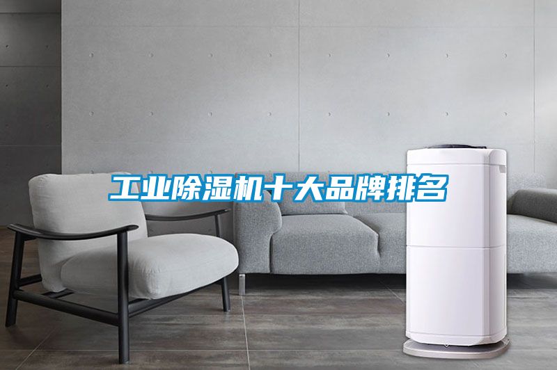 欧美黄色电影在线播放 工业除湿机十大品牌排名
