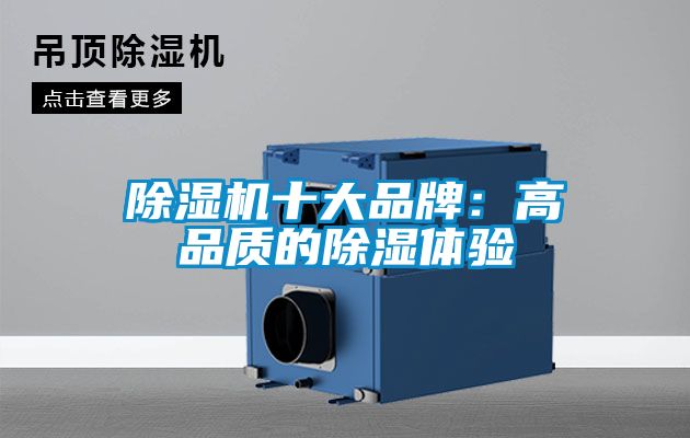 欧美黄色性爱视频网站 除湿机十大品牌：高品质的除湿体验