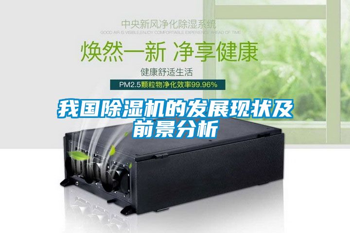 欧美成色手机在线观看 我国除湿机的发展现状及前景分析