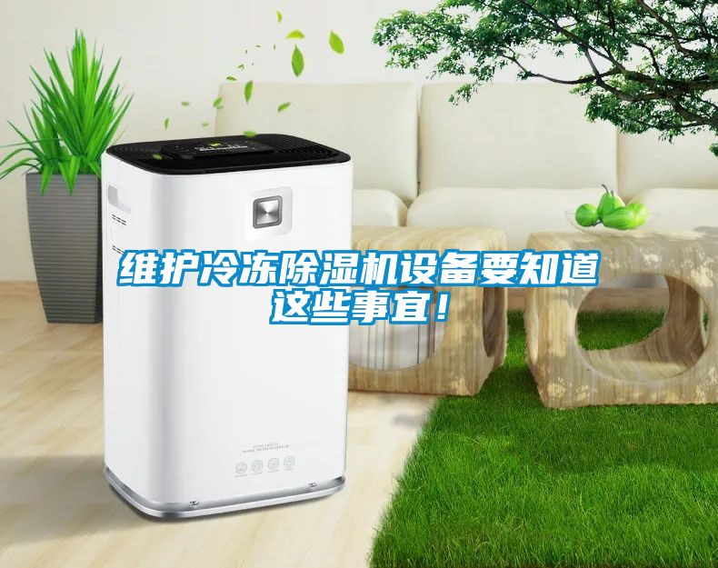 欧美黄色性爱视频网站 维护冷冻除湿机设备要知道这些事宜！