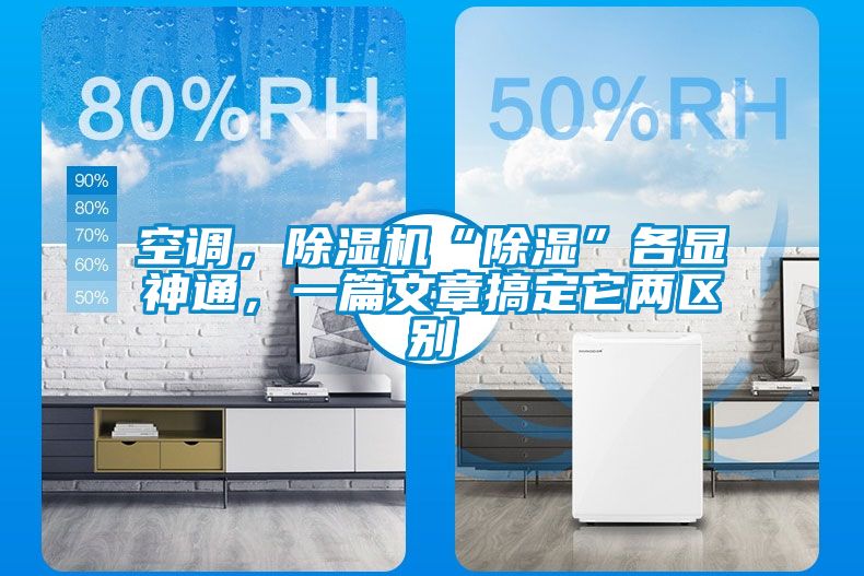 欧美黄色性爱视频网站 空调，除湿机“除湿”各显神通，一篇文章搞定它两区别