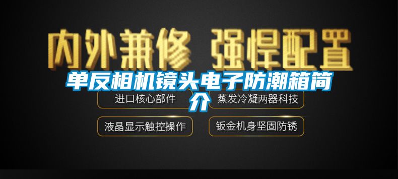 欧美黄色性爱视频网站 单反相机镜头电子防潮箱简介
