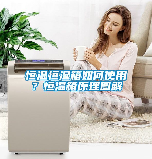 欧美成色手机在线观看 恒温恒湿箱如何使用？恒湿箱原理图解