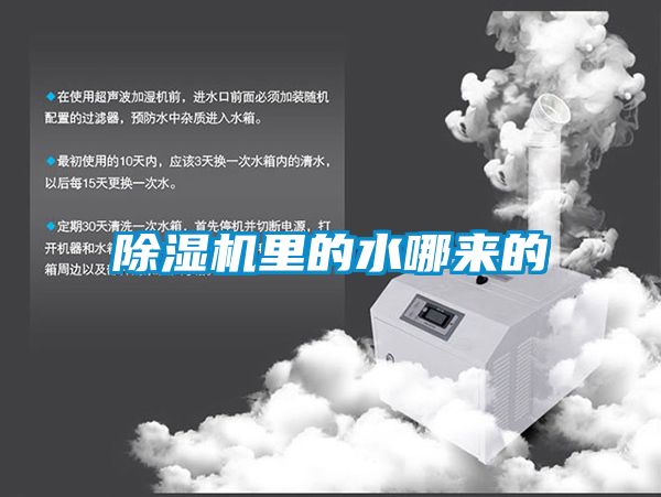 欧美黄色性爱视频网站 除湿机里的水哪来的