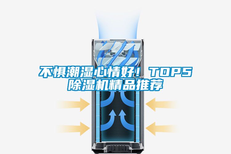 欧美黄色性爱视频网站 不惧潮湿心情好！TOP5除湿机精品推荐