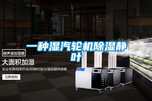 欧美黄色电影在线播放 一种湿汽轮机除湿静叶