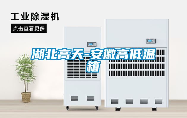 欧美成色手机在线观看 湖北高天-安徽高低温箱