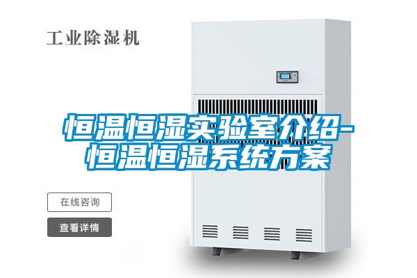 欧美成色手机在线观看 恒温恒湿实验室介绍-恒温恒湿系统方案