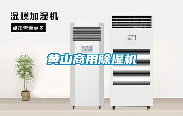 欧美黄色电影在线播放 黄山商用除湿机