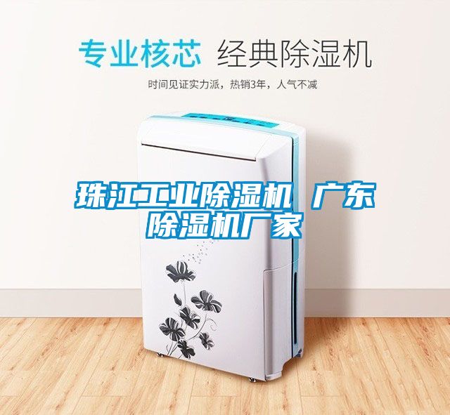 欧美黄色电影在线播放 珠江工业除湿机 广东除湿机厂家