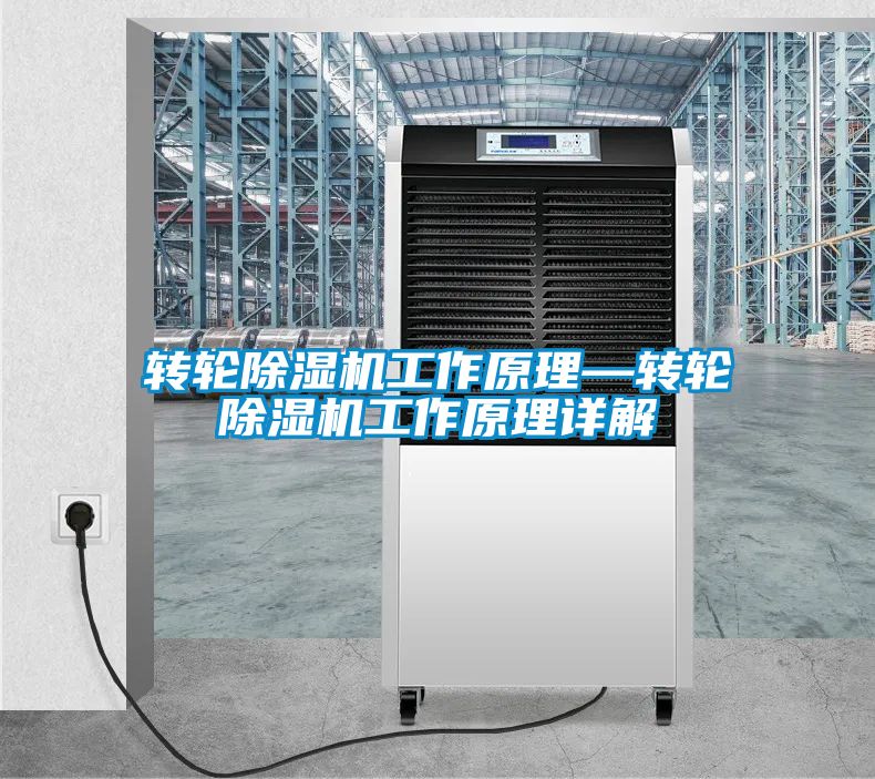 欧美黄色电影在线播放 转轮除湿机工作原理—转轮除湿机工作原理详解