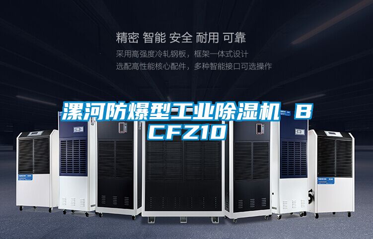 欧美黄色电影在线播放 漯河防爆型工业除湿机 BCFZ10
