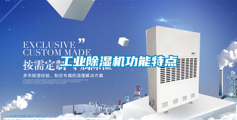 欧美黄色电影在线播放 工业除湿机功能特点