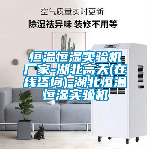 欧美成色手机在线观看 恒温恒湿实验机厂家-湖北高天(在线咨询)-湖北恒温恒湿实验机