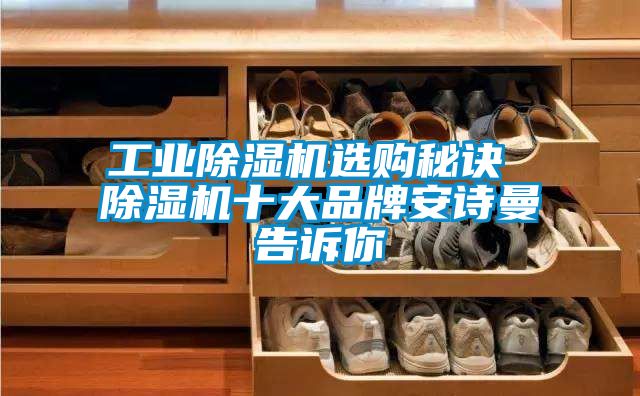 欧美成色手机在线观看 工业除湿机选购秘诀 除湿机十大品牌安诗曼告诉你