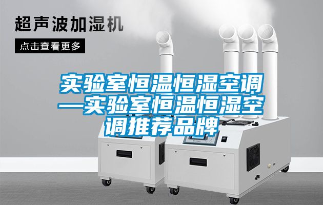 欧美成色手机在线观看 实验室恒温恒湿空调—实验室恒温恒湿空调推荐品牌