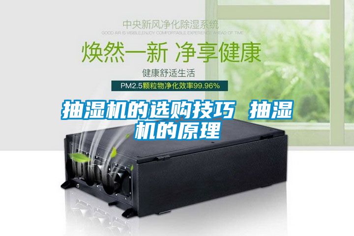 欧美黄色电影在线播放 抽湿机的选购技巧 抽湿机的原理