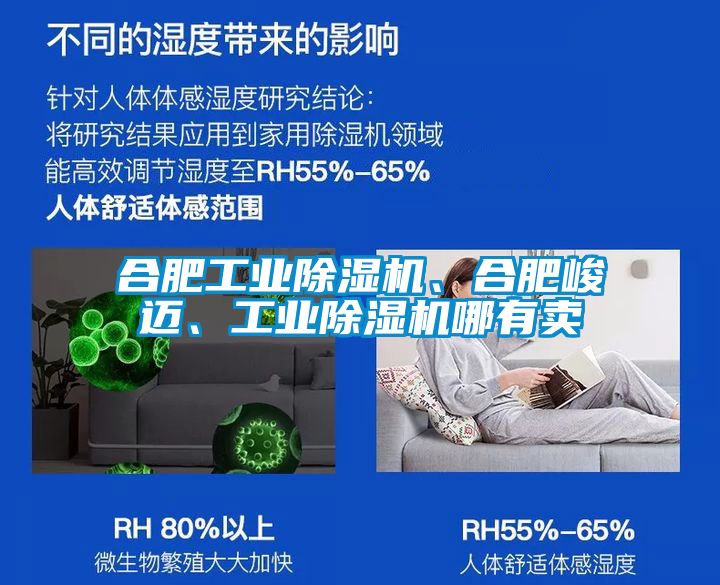 欧美黄色性爱视频网站 合肥工业除湿机、合肥峻迈、工业除湿机哪有卖