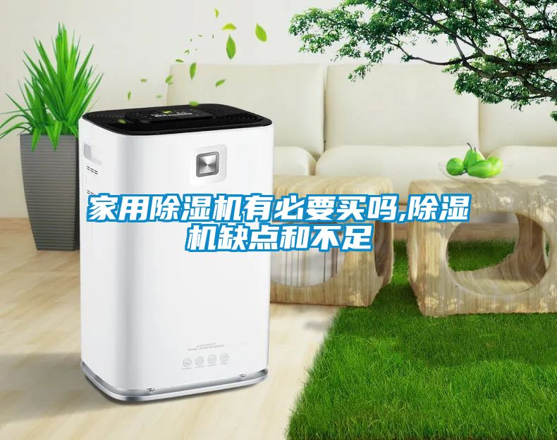 欧美成色手机在线观看 家用除湿机有必要买吗,除湿机缺点和不足