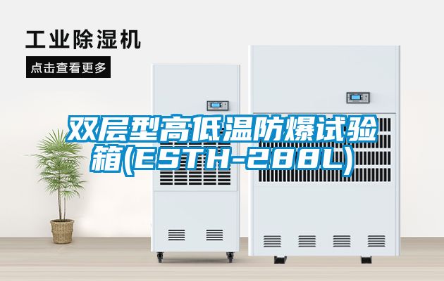 欧美黄色性爱视频网站 双层型高低温防爆试验箱(ESTH-288L)
