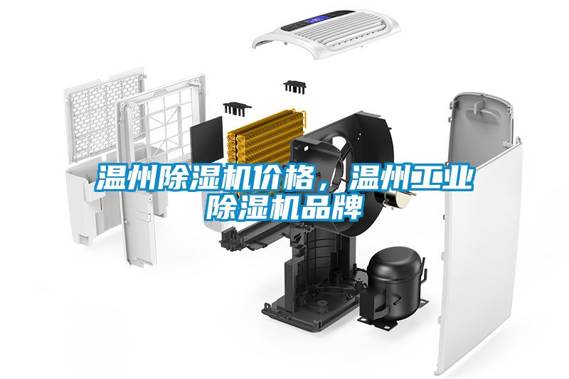 欧美黄色电影在线播放 温州除湿机价格，温州工业除湿机品牌