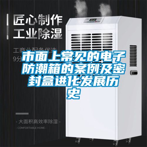 欧美黄色电影在线播放 市面上常见的电子防潮箱的案例及密封盒进化发展历史