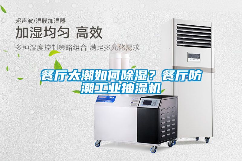 欧美黄色电影在线播放 餐厅太潮如何除湿？餐厅防潮工业抽湿机