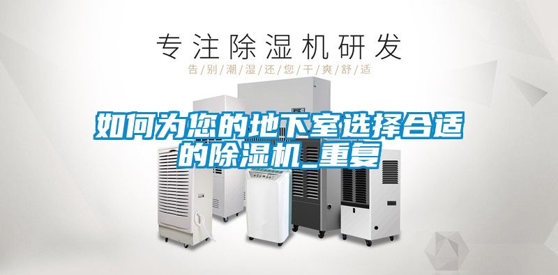 欧美黄色性爱视频网站 如何为您的地下室选择合适的除湿机_重复